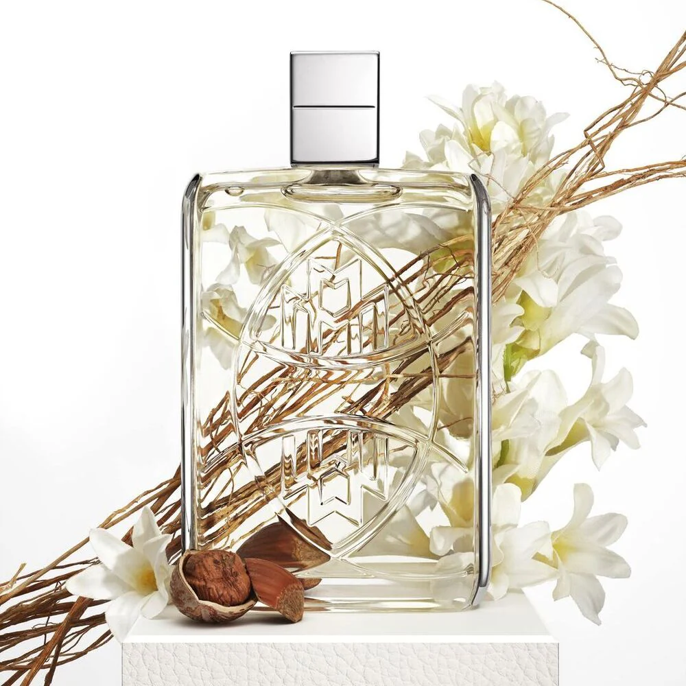 Collection Maybach - Image 6